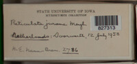 Image Associated With the Occurence